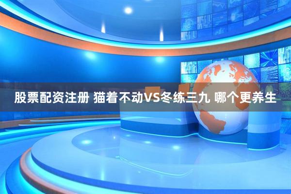 股票配资注册 猫着不动VS冬练三九 哪个更养生