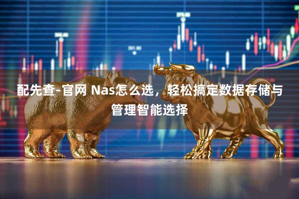 配先查-官网 Nas怎么选，轻松搞定数据存储与管理智能选择
